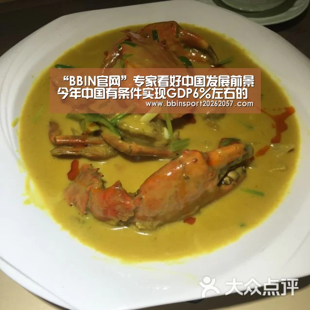“BBIN官网”专家看好中国发展前景今年中国有条件实现GDP6%左右的增长(图4) BBIN体育