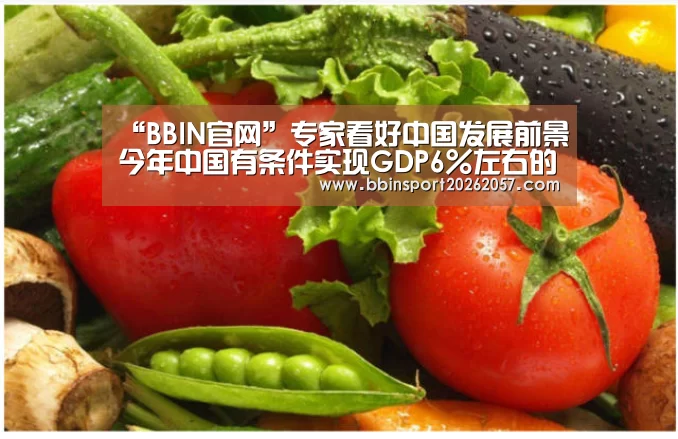 “BBIN官网”专家看好中国发展前景今年中国有条件实现GDP6%左右的增长(图3) BBIN官网