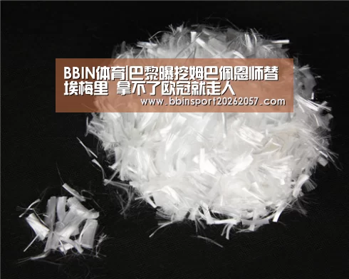 BBIN体育|巴黎曝挖姆巴佩恩师替埃梅里 拿不了欧冠就走人(图4) BBIN登录