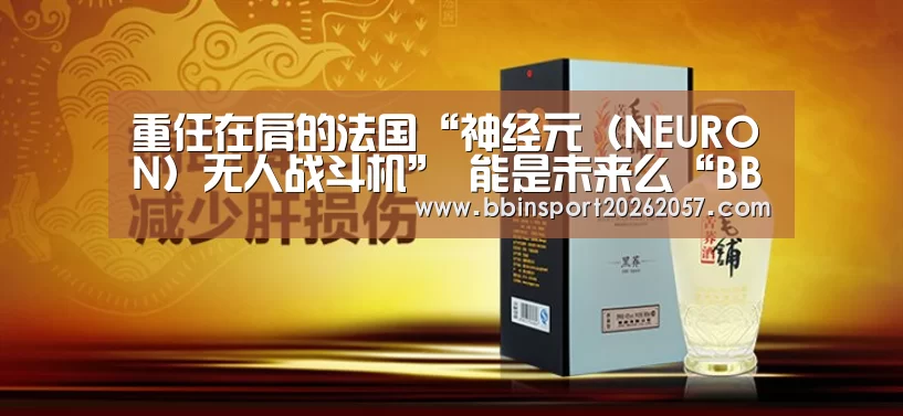重任在肩的法国“神经元(NEURON)无人战斗机” 能是未来么“BBIN直播”(图1) BBIN直播