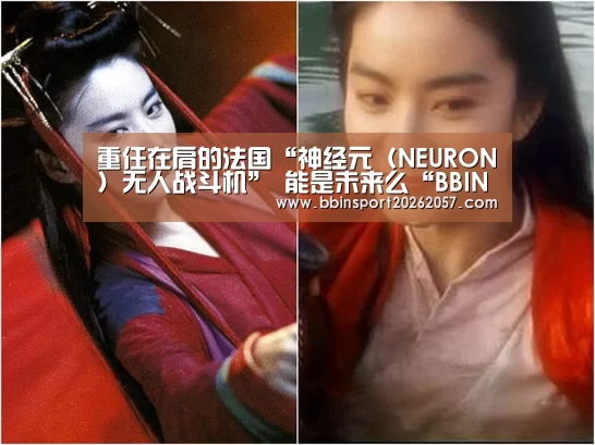 重任在肩的法国“神经元(NEURON)无人战斗机” 能是未来么“BBIN直播”(图3) BBIN登录