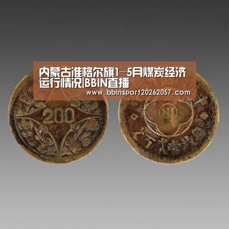 内蒙古准格尔旗1-5月煤炭经济运行情况|BBIN直播(图2) BBIN体育