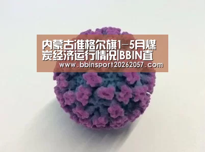 内蒙古准格尔旗1-5月煤炭经济运行情况|BBIN直播(图1) BBIN体育