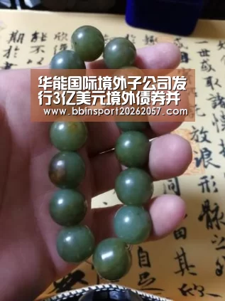 华能国际境外子公司发行3亿美元境外债券并于港交所上市“BBIN官网”(图2) BBIN登录