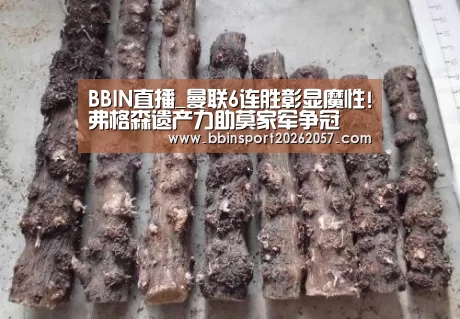 BBIN直播_曼联6连胜彰显魔性!弗格森遗产力助莫家军争冠(图2) BBIN登录