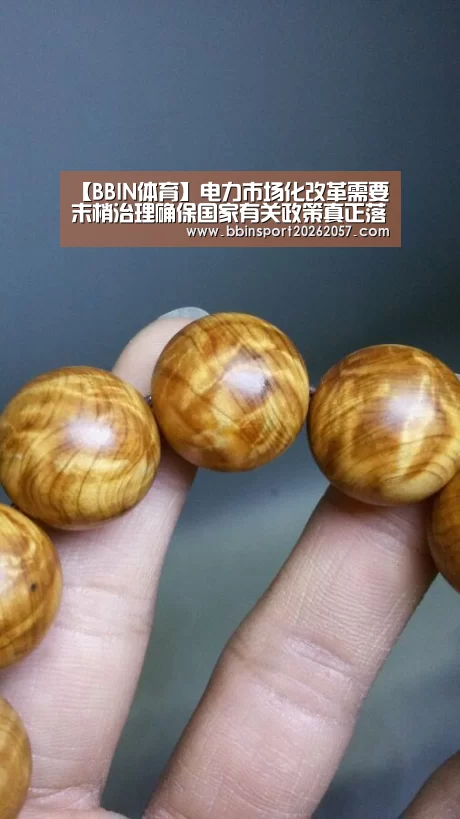 【BBIN体育】电力市场化改革需要末梢治理确保国家有关政策真正落地(图2) BBIN直播