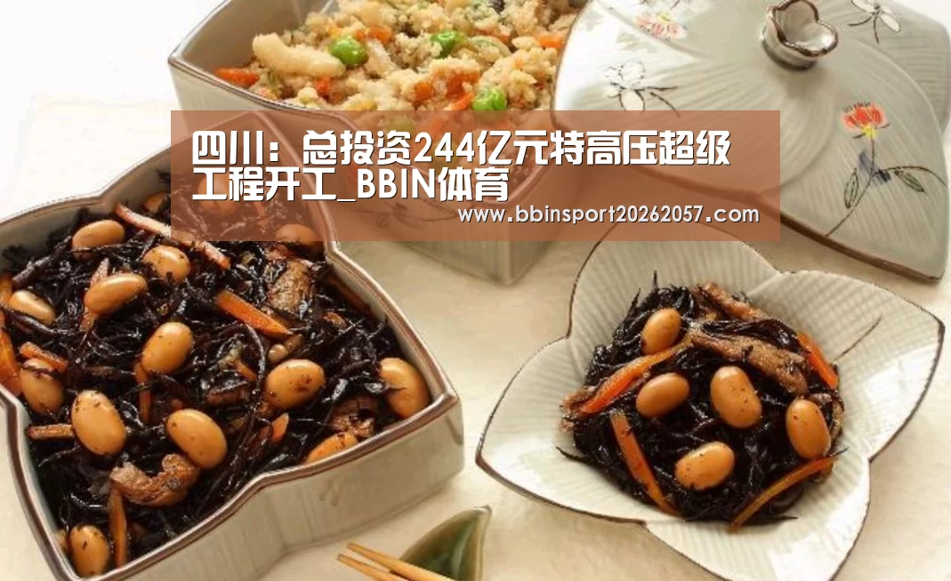 四川:总投资244亿元特高压超级工程开工_BBIN体育(图4) BBIN体育