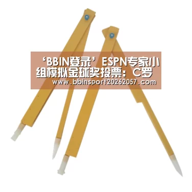 BBIN体育